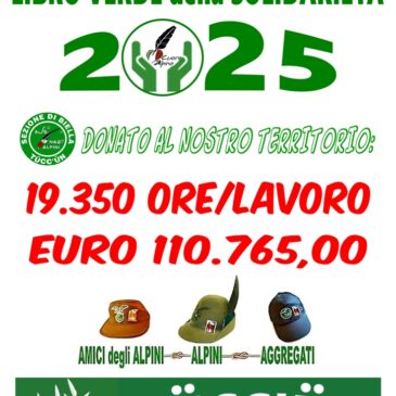 Libro Verde Solidarietà 2025: BRAVI !