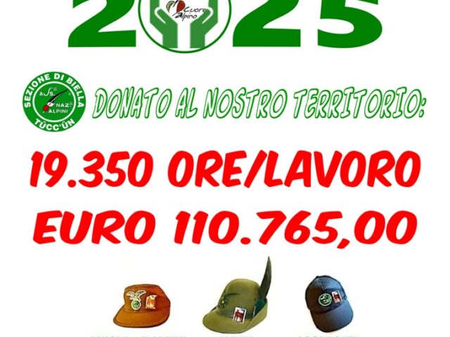 Libro Verde Solidarietà 2025: BRAVI !